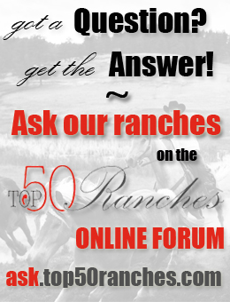 Top50 Forum