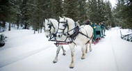 Winter at Lone Mountain