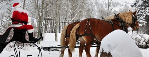 win a vacation at Zapata ranch