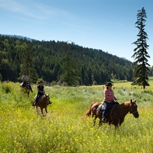 Tod Mountain Ranch