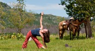 colorado dude ranch