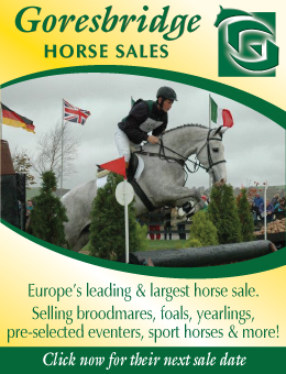 Goresbridge Horse Sales, Ireland