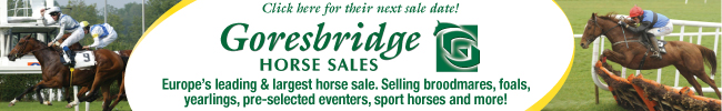 Goresbridge Horse Sales, Ireland