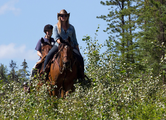 Free Rein British Columbia TripAdvisor Certificate of Excellence