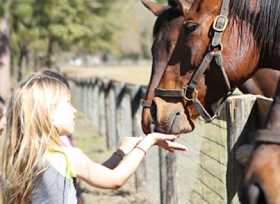 BG Equestrian Children Ranch Vacation