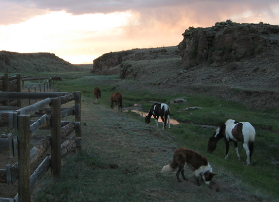 Badger Creek ranch sunset, colorado