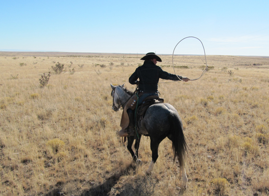 Burnt Well Guest Ranch