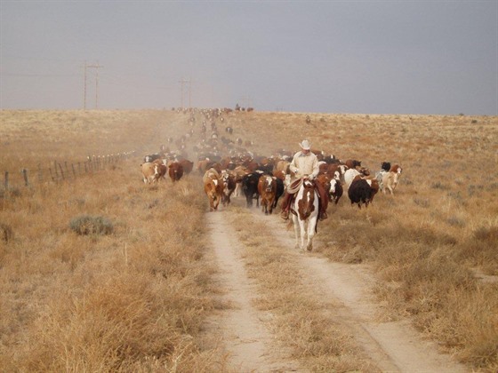 chico basin ranch cowboy camp