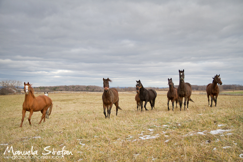horseback riding holidays