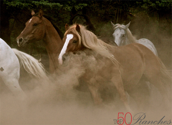 Lone Mountain Ranch Exclusive Print Top50 Ranches