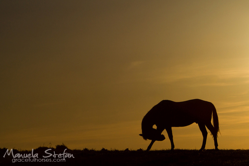 horseback riding holidays