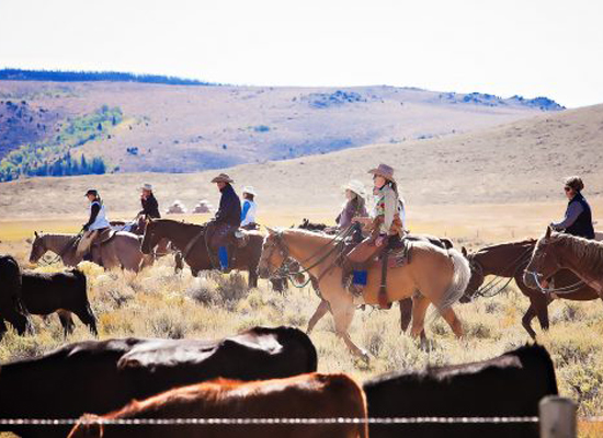 Cowgirl Up to Fight Breast Cancer at Brush Creek Ranch, Wyoming