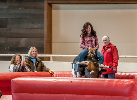 Paws Up Bronc Riding Cowgirl Roundup 2014