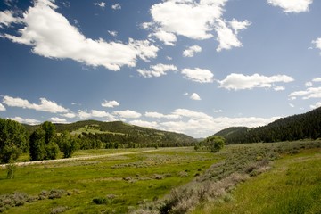 montana dude ranch