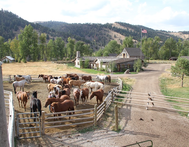 montana dude ranch, ranch at rock creek