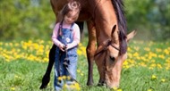 family dude ranches