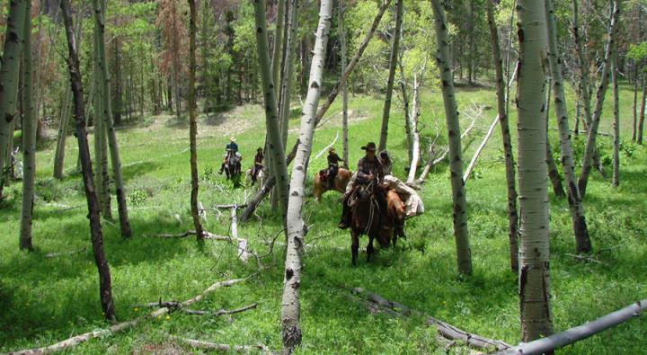 Latigo Ranch