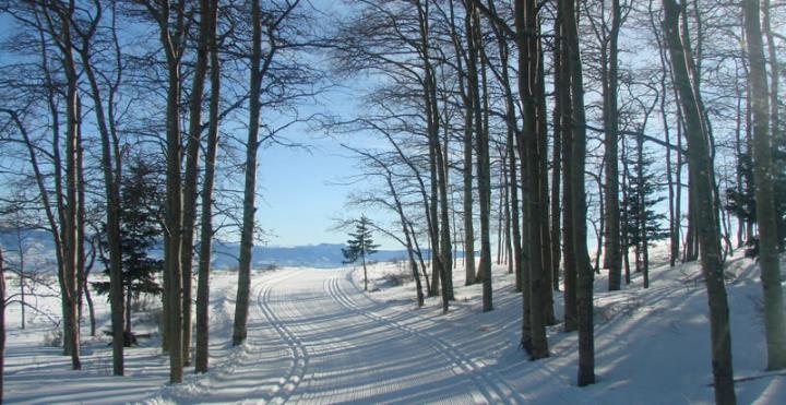 Snowy trails at Latino Ranch