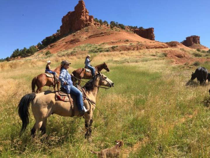 Red Reflet Ranch