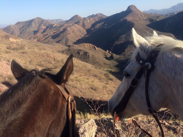 Riding at Rancho Los Banos