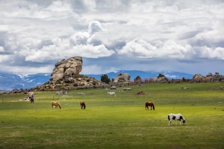 Brush Creek Ranch