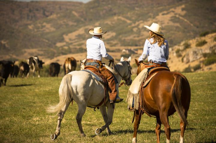 Horse riding at The Lodge at Blue Sky
