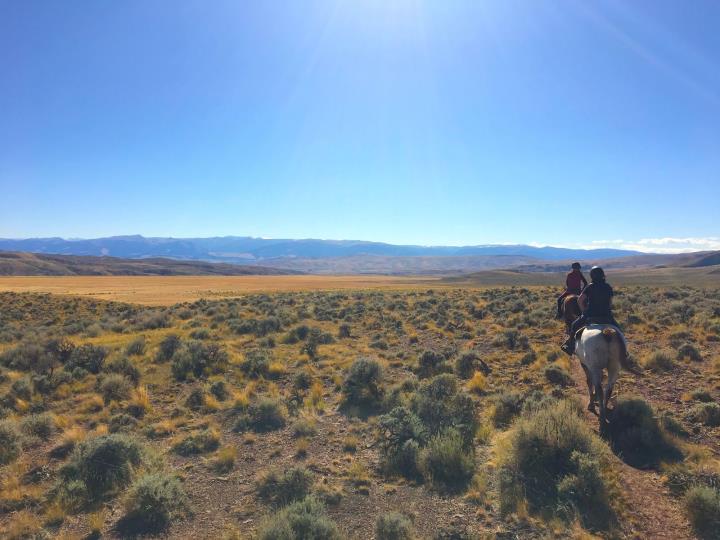 Horseback riders on open plain with blue sky