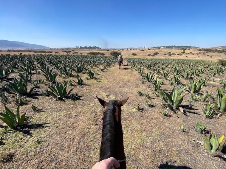 Horse riding at Rancho Las Cascadas