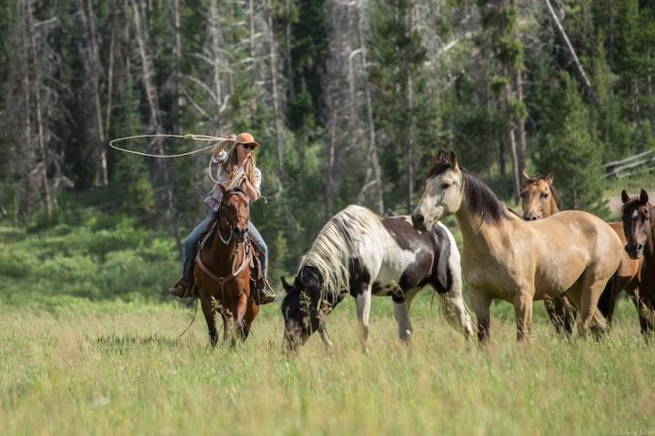 Learn to rope cattle on a ranch vacation!