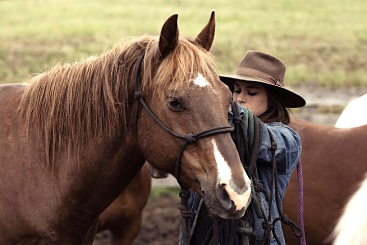 Bull Hill Guest Ranch