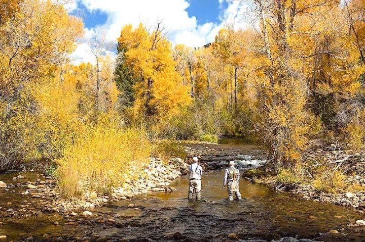 Fly fishing in the Fall in Wyoming