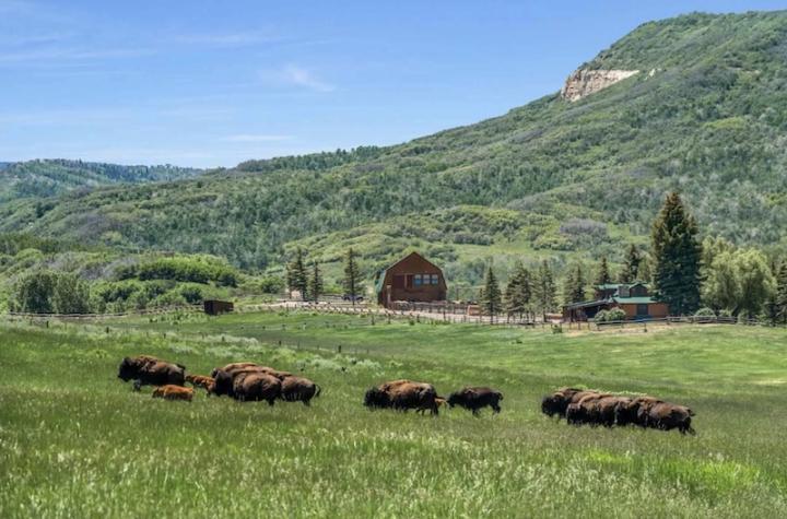 Luxury Ranch Real Estate