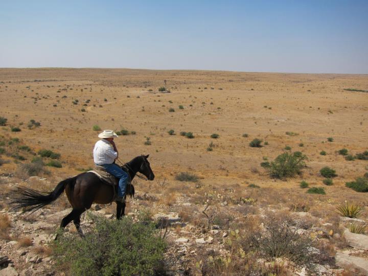 Going solo at Burnt Well Guest Ranch