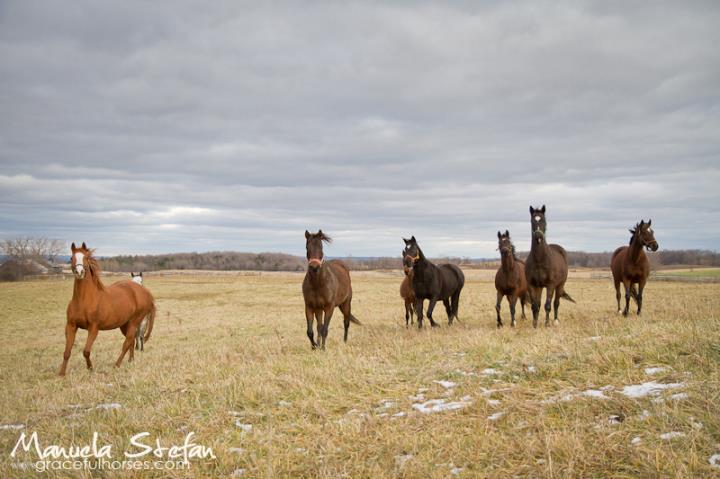 horseback riding holidays