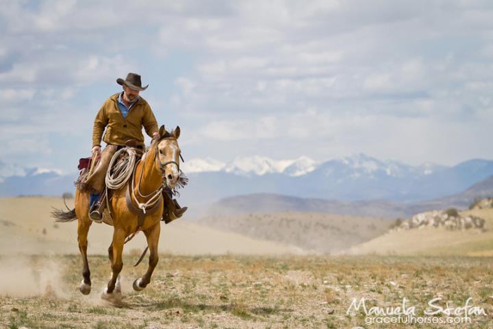 montana working ranch vacations