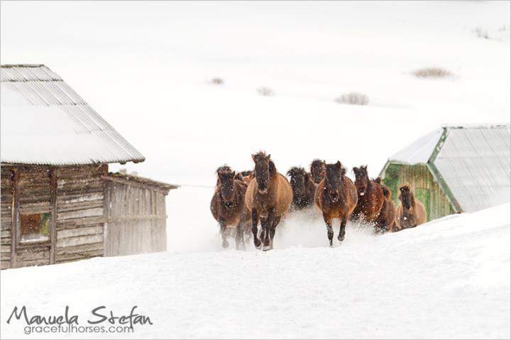 ranch holidays