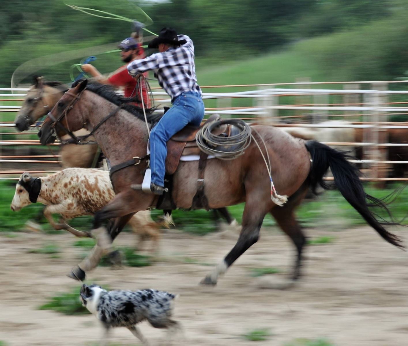 Advanced riding vacations