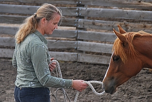 Bitterroot Ranch