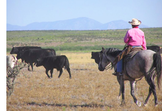 Burnt Well Guest Ranch