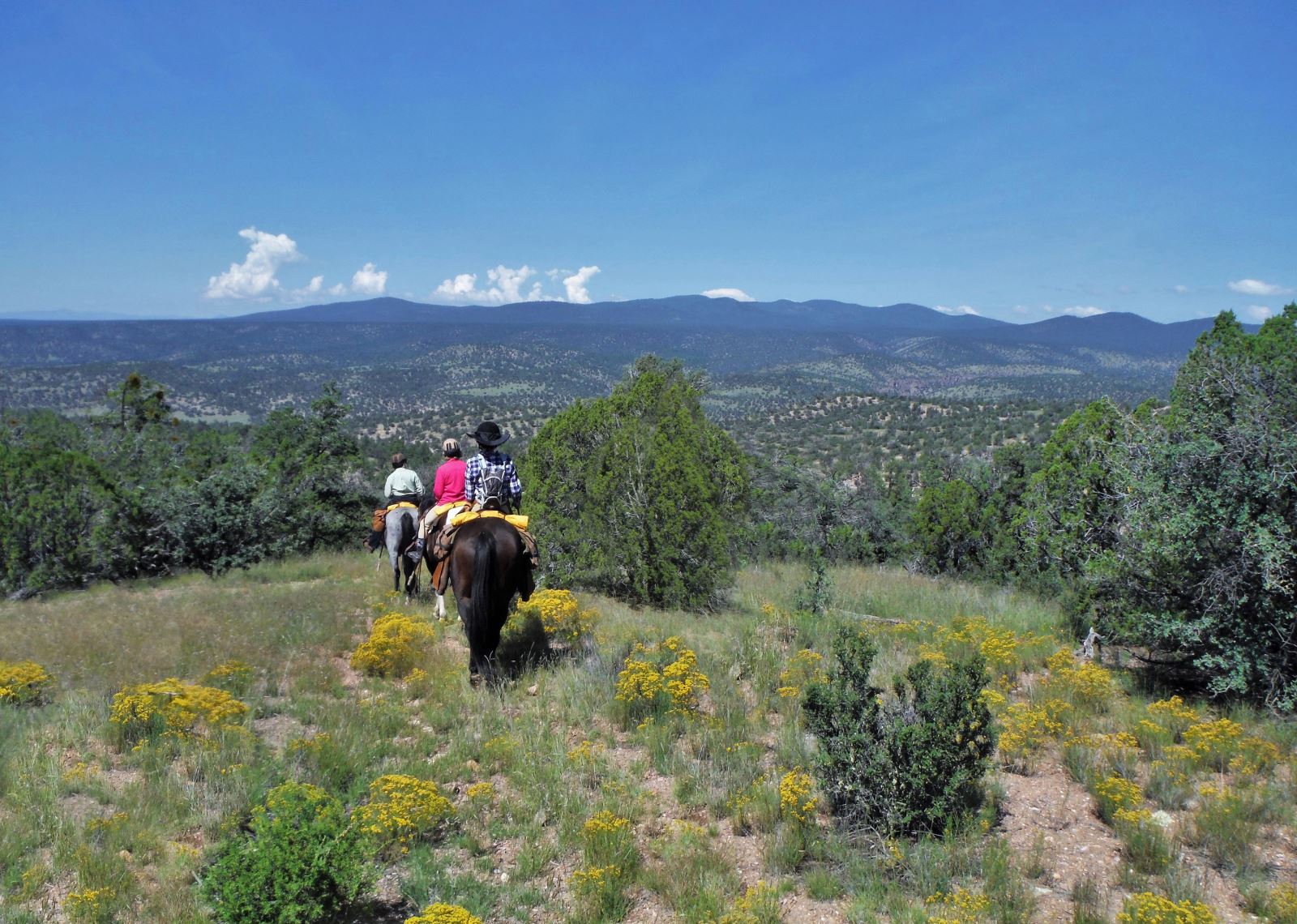 Geronimo Trail Guest Ranch