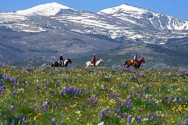 Paradise Guest Ranch