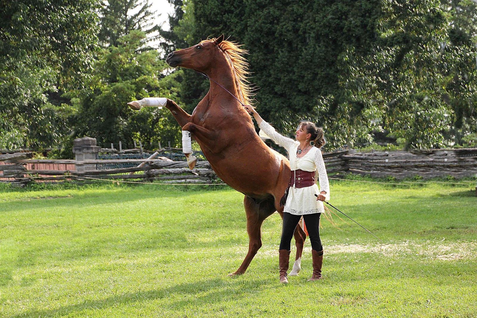 Trapper Creek Ranch