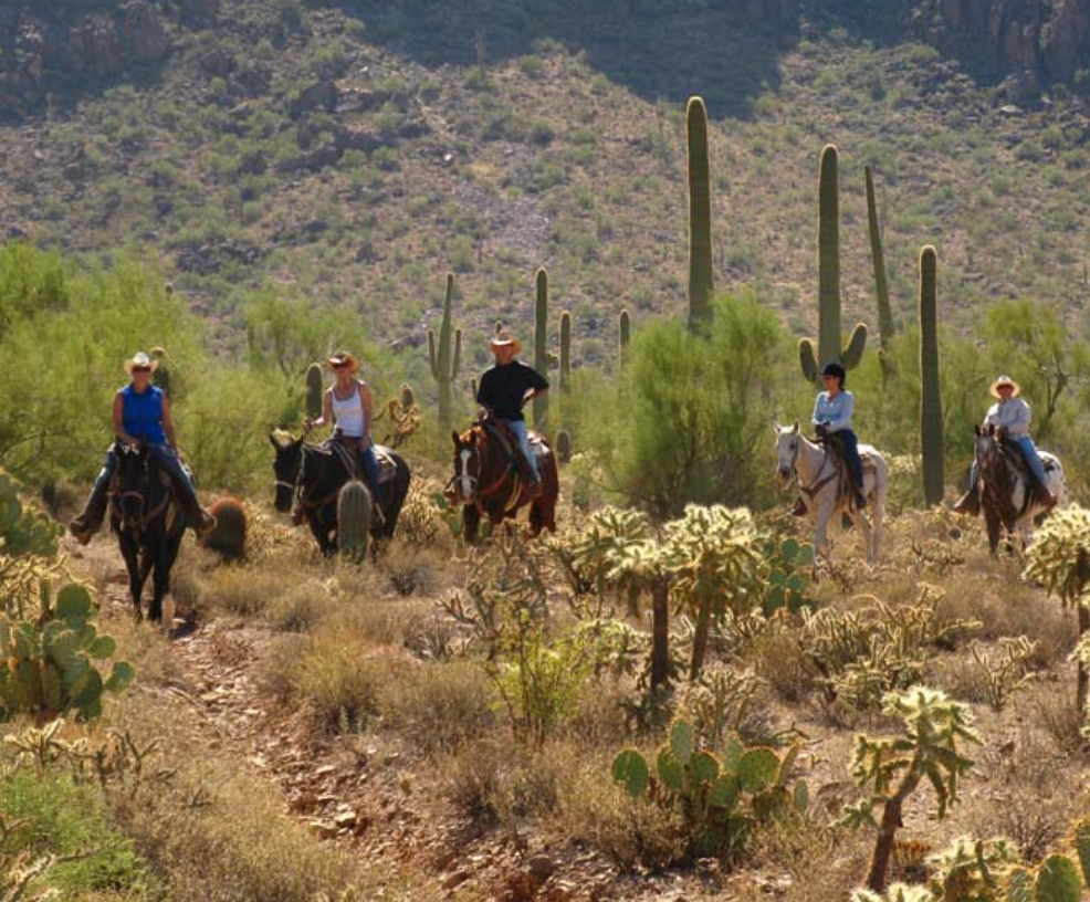 White Stallion Ranch