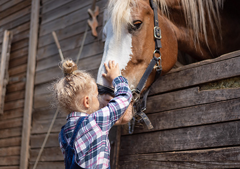 A girl stroking a horse