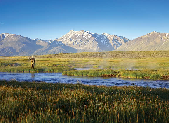 A fly fisher in a lake