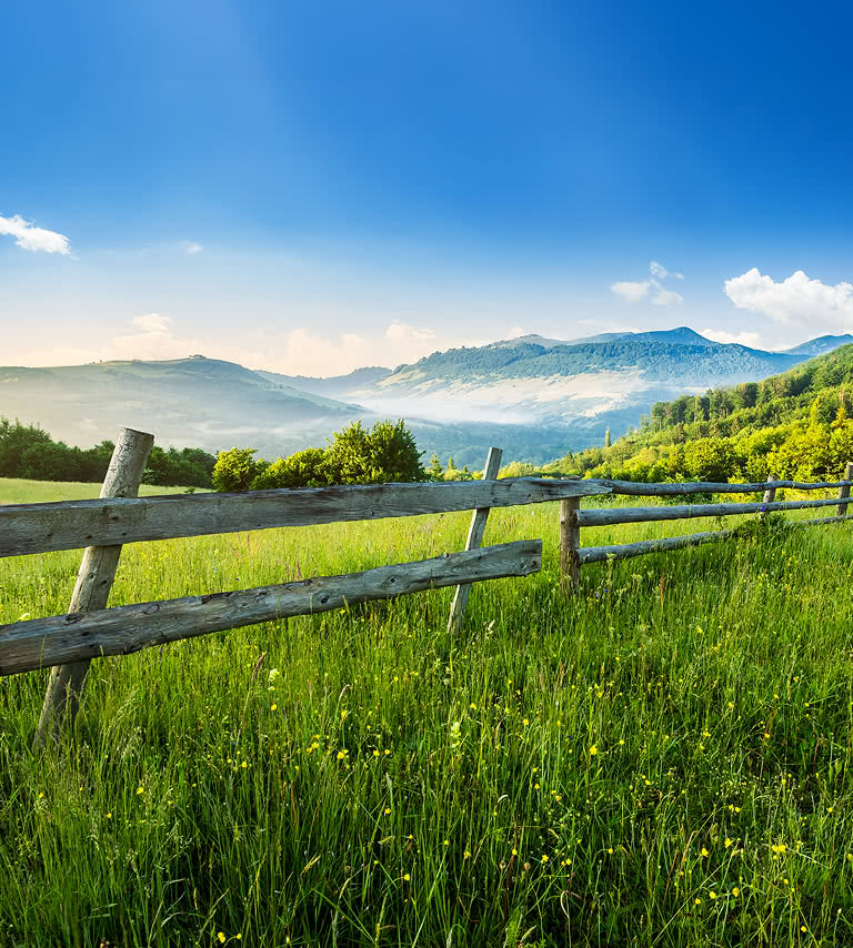 A green field with a blue sky