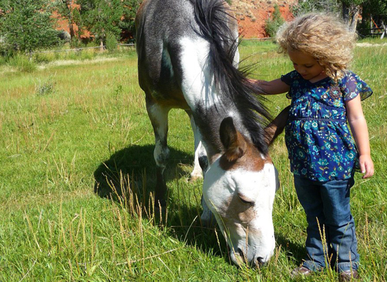 Lazy L&B Ranch girl and horse