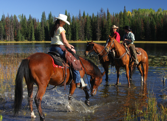 Free Rein Horsemanship British Columbia