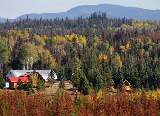 Free Rein ranch view