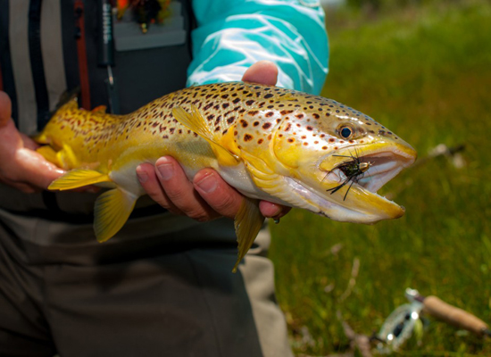 High Lonesome Ranch Colorado Fishing